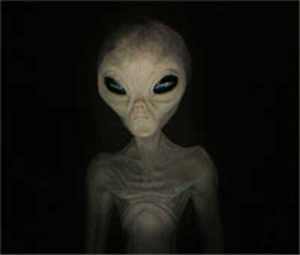 Alien Hybrid Hybrid Alien