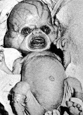 Baby Alien Hybrid Baby Alien Hybrid